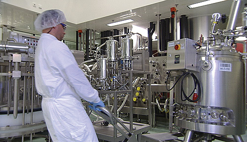 fermentation