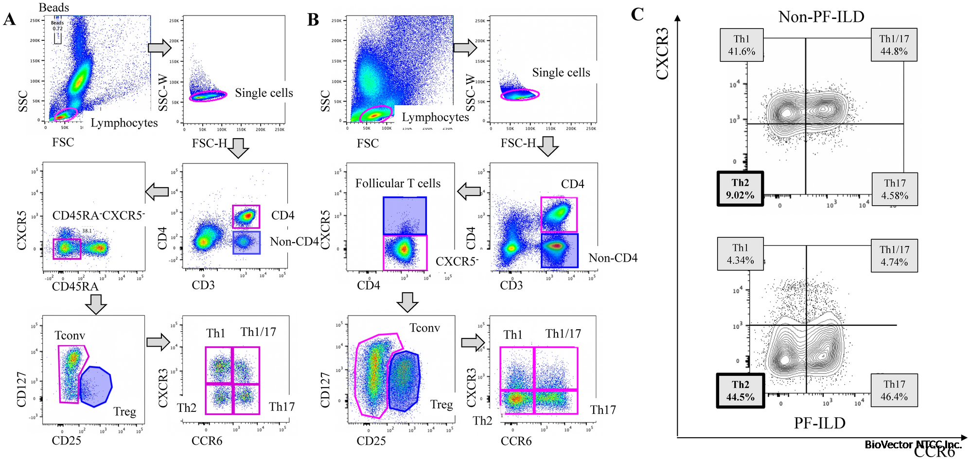 Lung CCR6?CXCR3? type 2 helper T cells as an indicator of progressive  fibrosing interstitial lung diseases | Scientific Reports